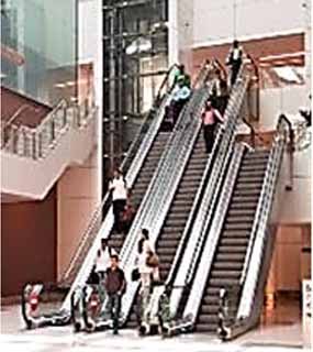 Escalator wiring harness solutions for steps, handrails and control panels.